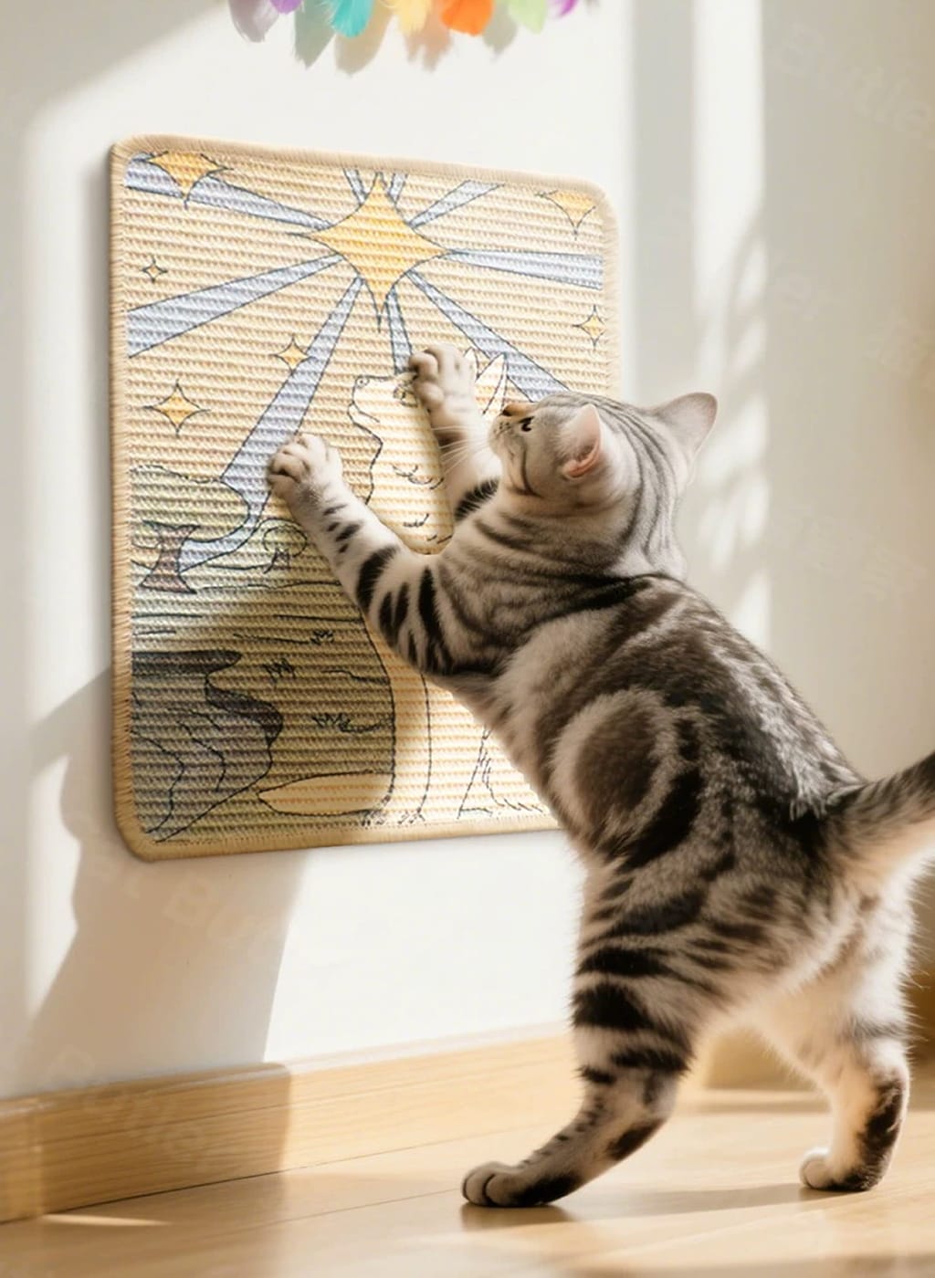 Cat playing with a cat scratcher on a wall